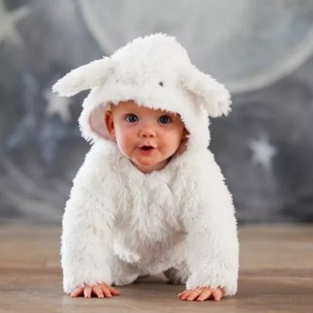 Pottery Barn Lamb Costume (6-12 Months)